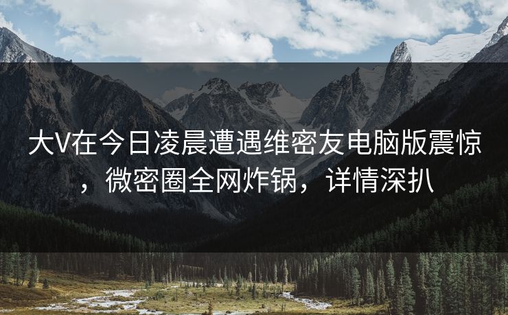 大V在今日凌晨遭遇维密友电脑版震惊，微密圈全网炸锅，详情深扒