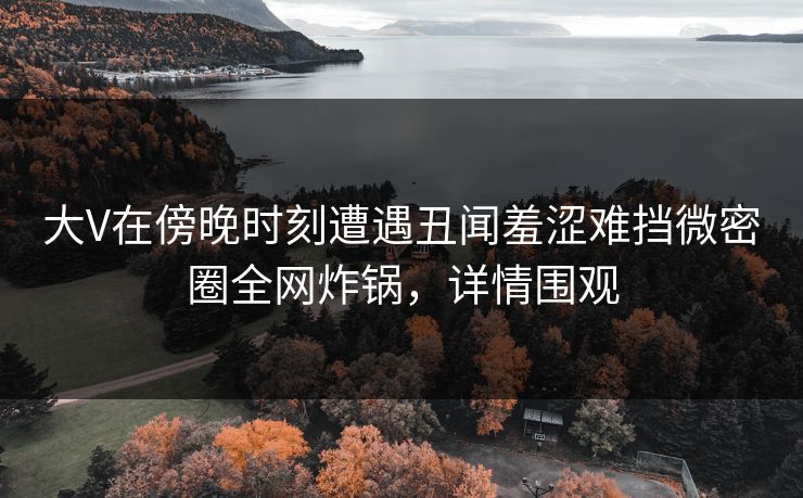 大V在傍晚时刻遭遇丑闻羞涩难挡微密圈全网炸锅，详情围观