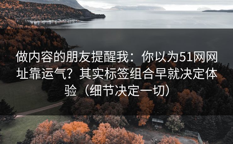 做内容的朋友提醒我：你以为51网网址靠运气？其实标签组合早就决定体验（细节决定一切）